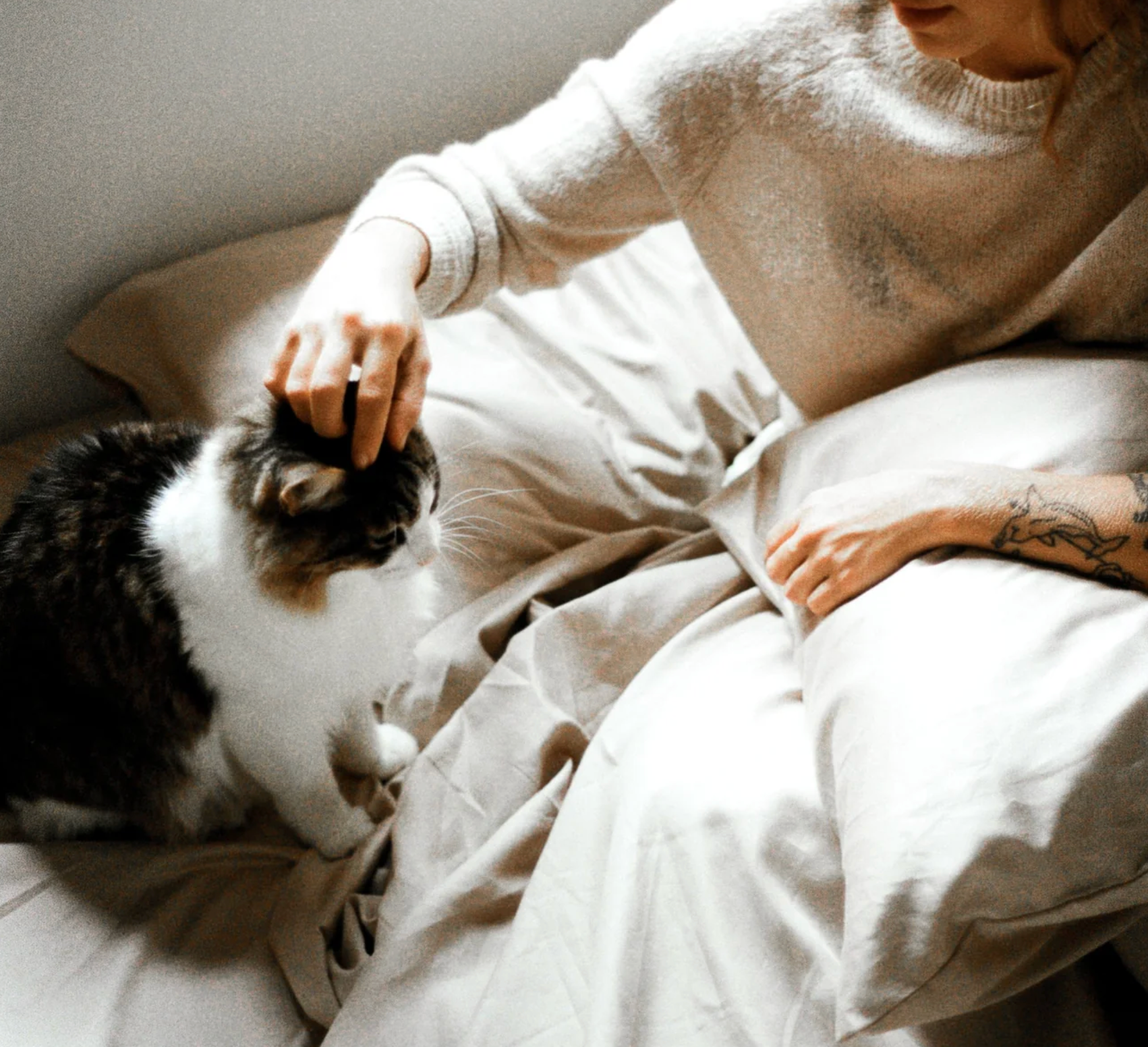 Cama